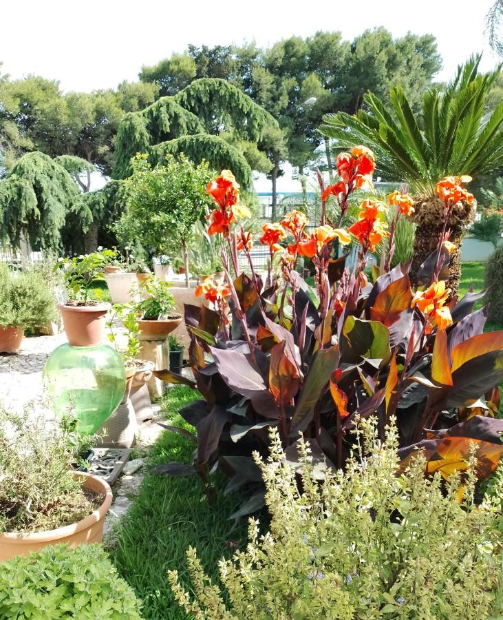 B & B Paradise Melendugno Buitenkant foto